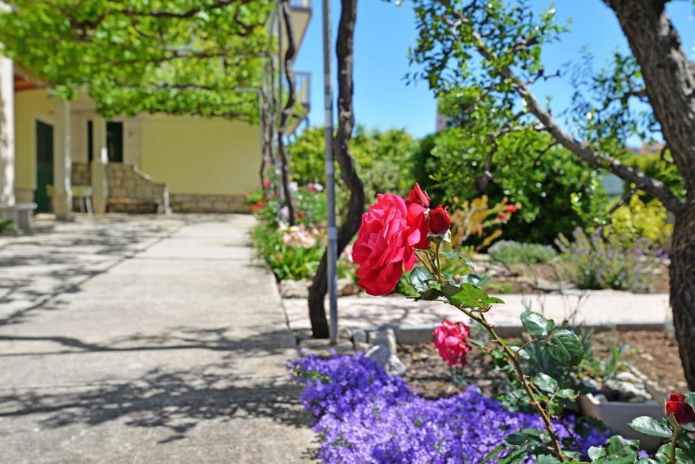 Apartments Viola Betina (Sibenik-Knin) Exterior foto
